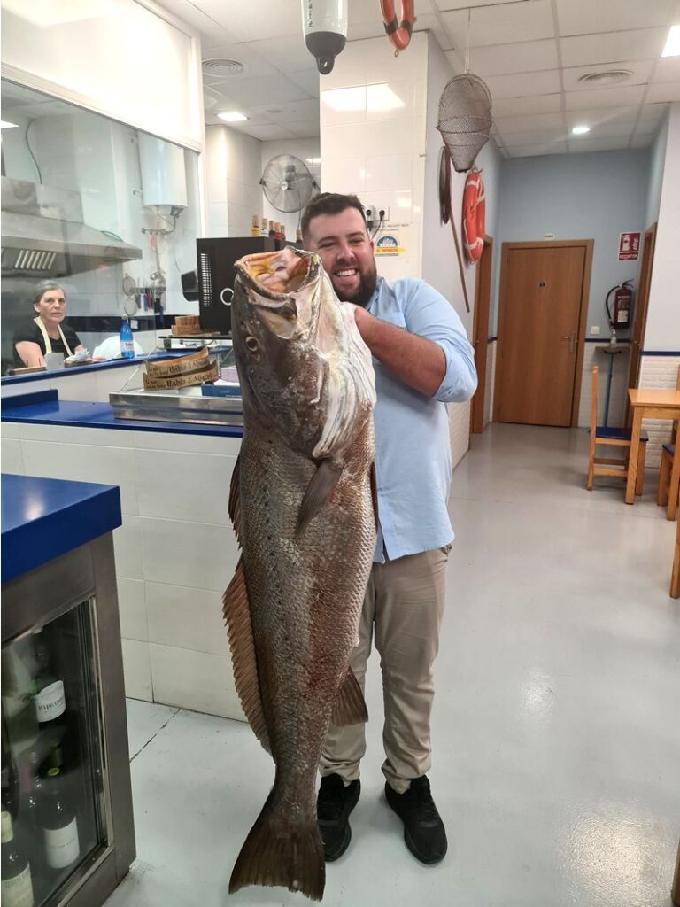 Bahía Aljarafe. Detapasconchencho