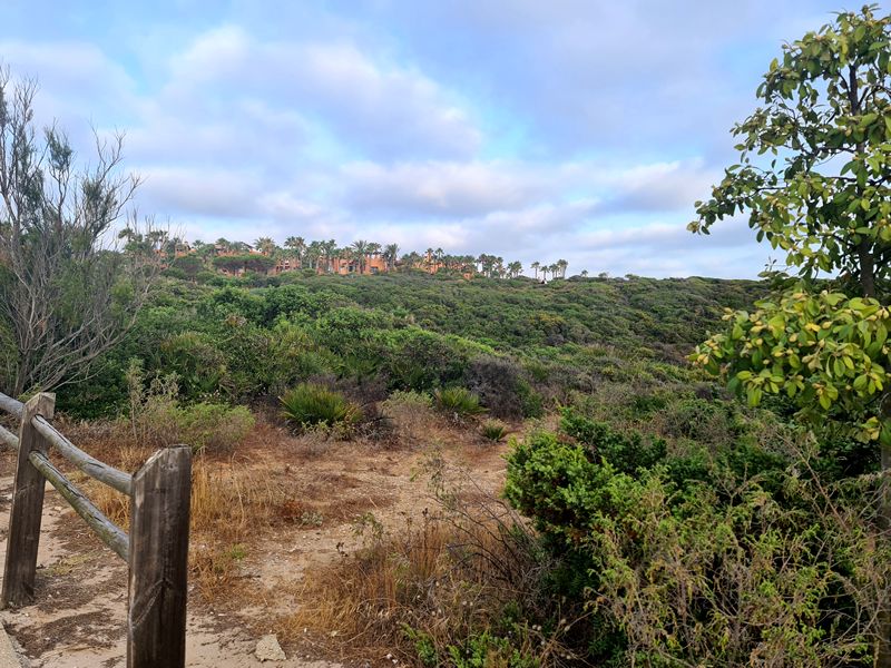 Chiclana de la Frontera. Un lugar de recreo y delicias. Detapasconchencho