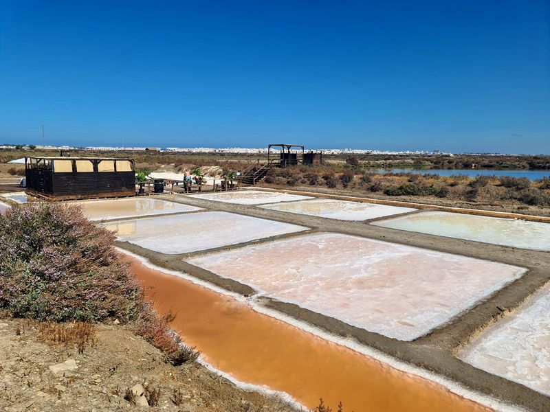 Chiclana de la Frontera. Un lugar de recreo y delicias. Detapasconchencho