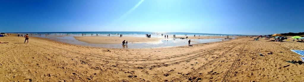 Chiclana de la Frontera. Un lugar de recreo y delicias. Detapasconchencho