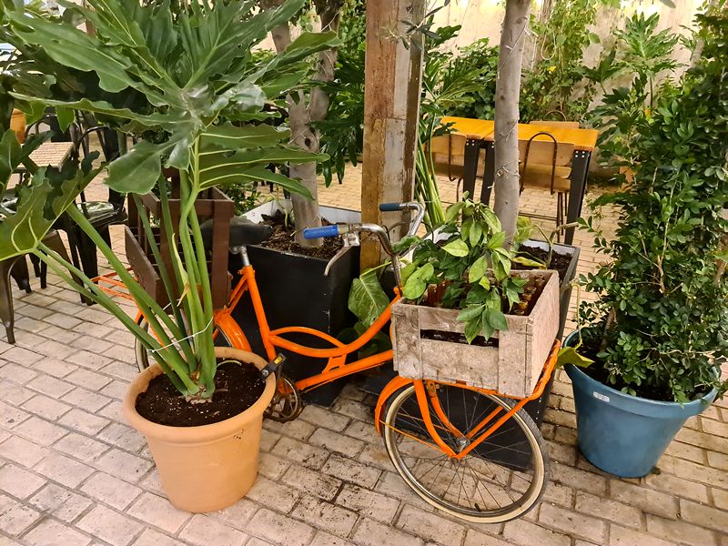 El Jardín de Genne. Detapasconchencho