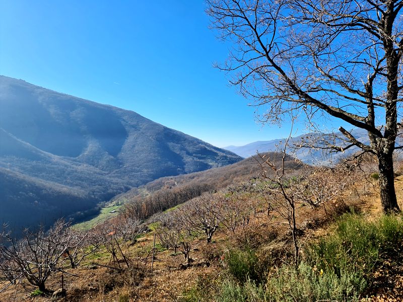 Ruta Gastronómica por el Valle del Jerte. Detapasconchencho