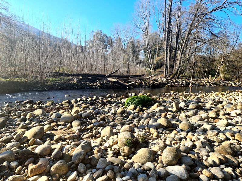 Ruta Gastronómica por el Valle del Jerte. Detapasconchencho