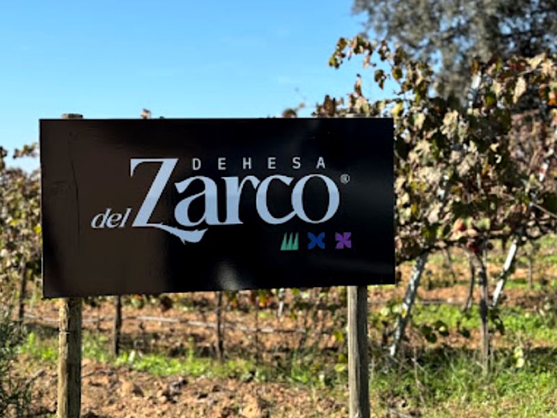 Dehesa del Zarco. Detapasconchencho