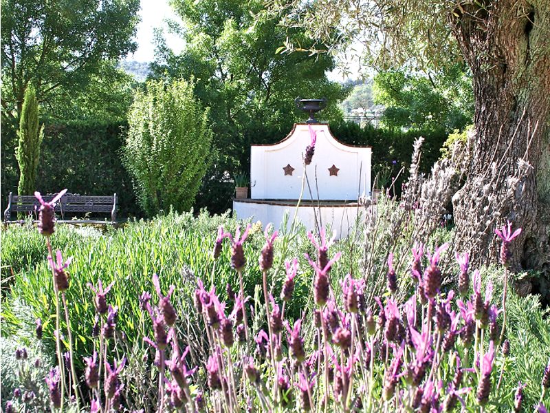 Restaurante Cortijo Vistalegre. Detapasconchencho